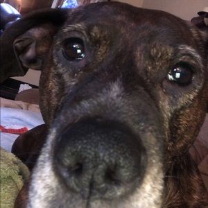 Meet your Posher, Sam